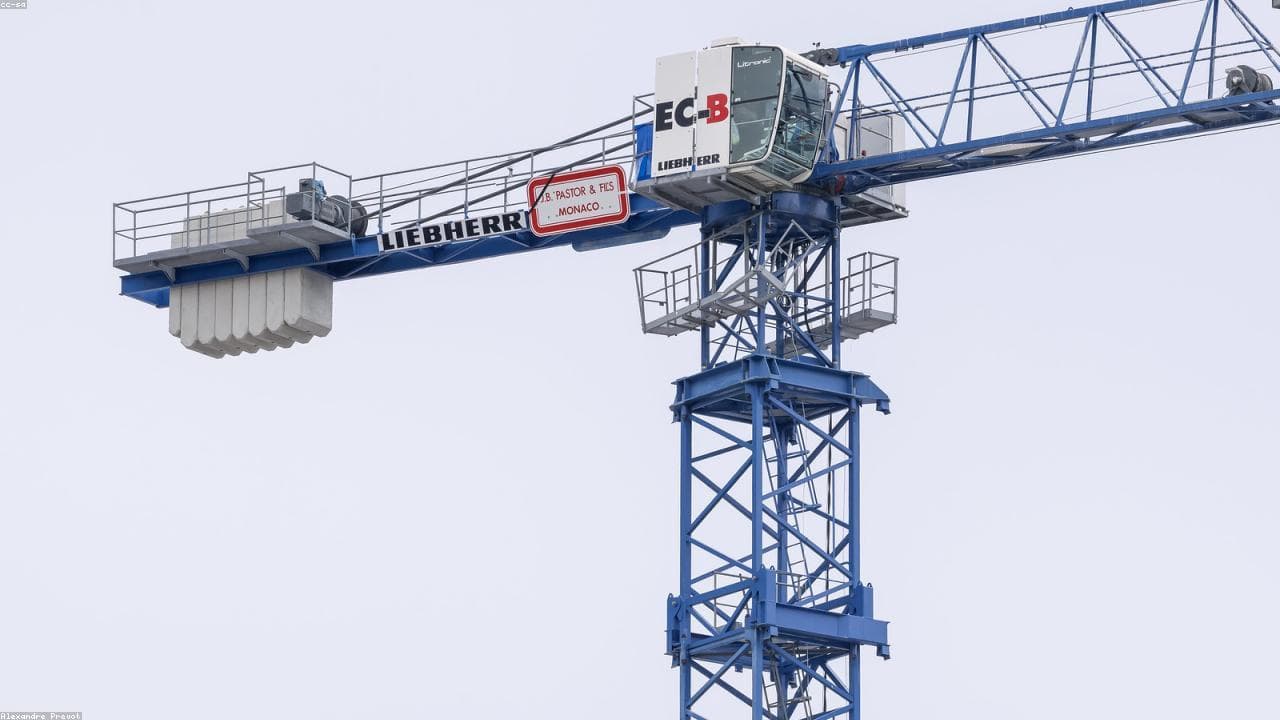 A blue Liebherr tower crane against an overcast sky on a construction site